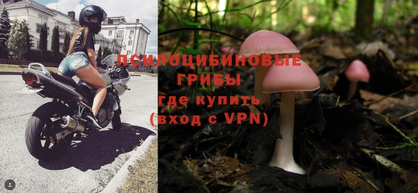PSILOCYBIN Вяземский